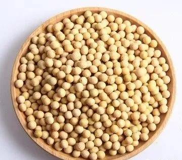 大豆行情最新动态更新📣🌱