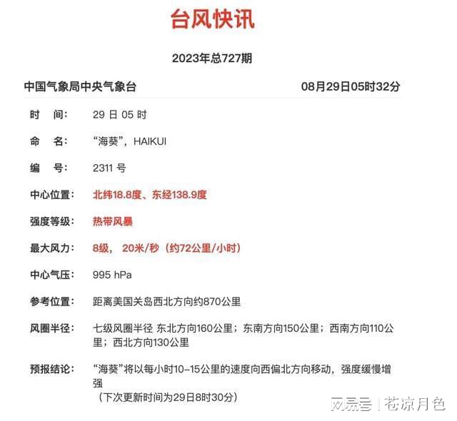 台风最新消息及应对策略，关注台风动态，了解影响与应对措施（实时更新）