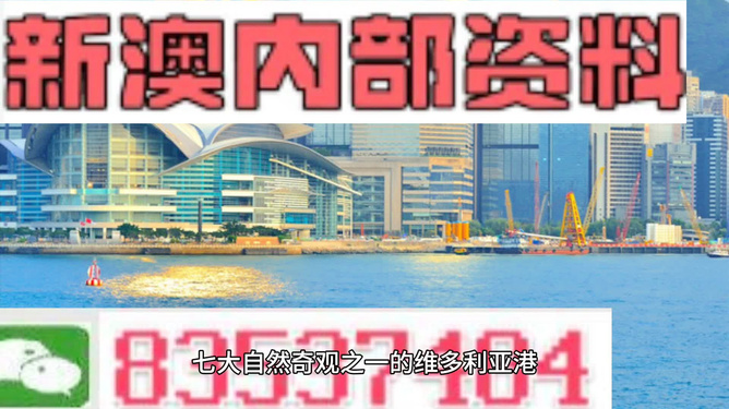 新澳2024年最新版资料,精准分析实践_世界版66.808