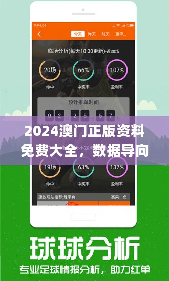 2024新澳天天资料免费大全,系统分析方案设计_闪电版89.177