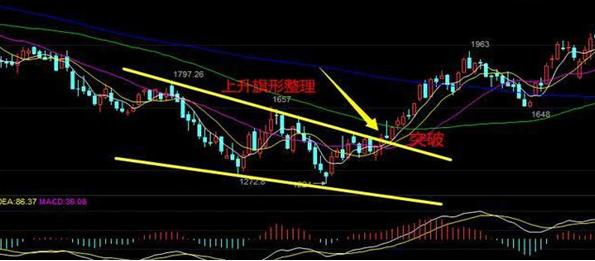 股票下跌不必灰心，小巷特色小店藏宝藏！