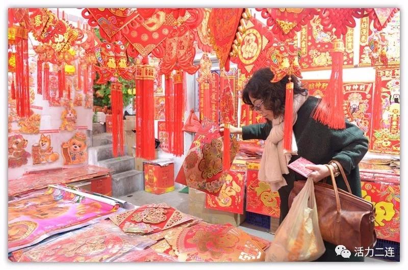 属狗明星大揭秘，全面探索与识别