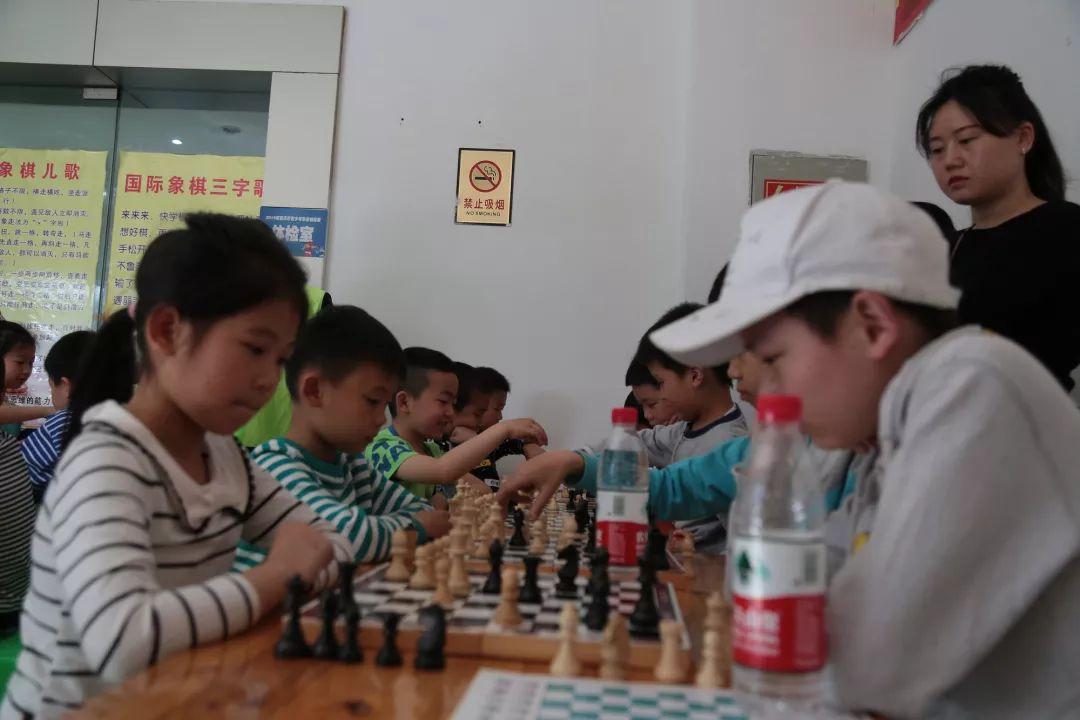 象棋比赛报名攻略，高手秘境之旅与轻松参赛指南