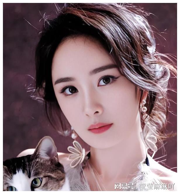 狐狸眼女明星，审美多元化时代的独特印记