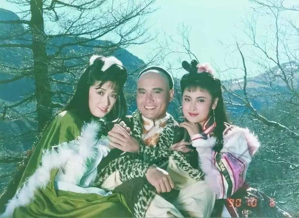 电影雪山飞狐，深度解读与观点阐述