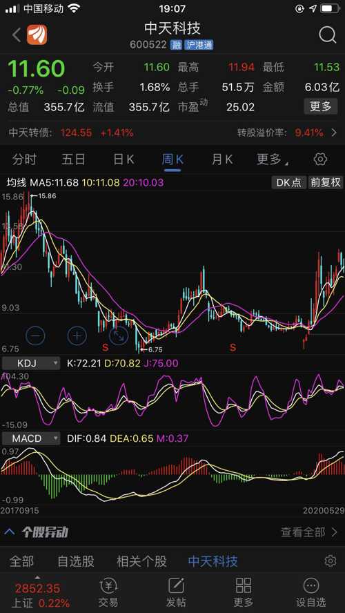 中天股票行情深度分析与前景展望