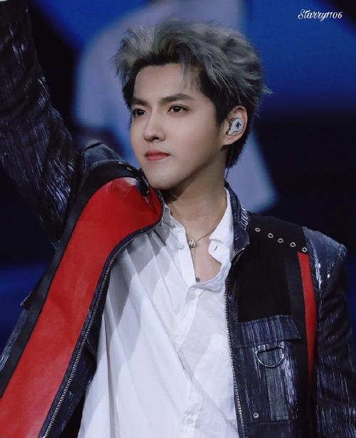 甄子丹与吴亦凡新片上映，学习之旅中的自信与成就感之源