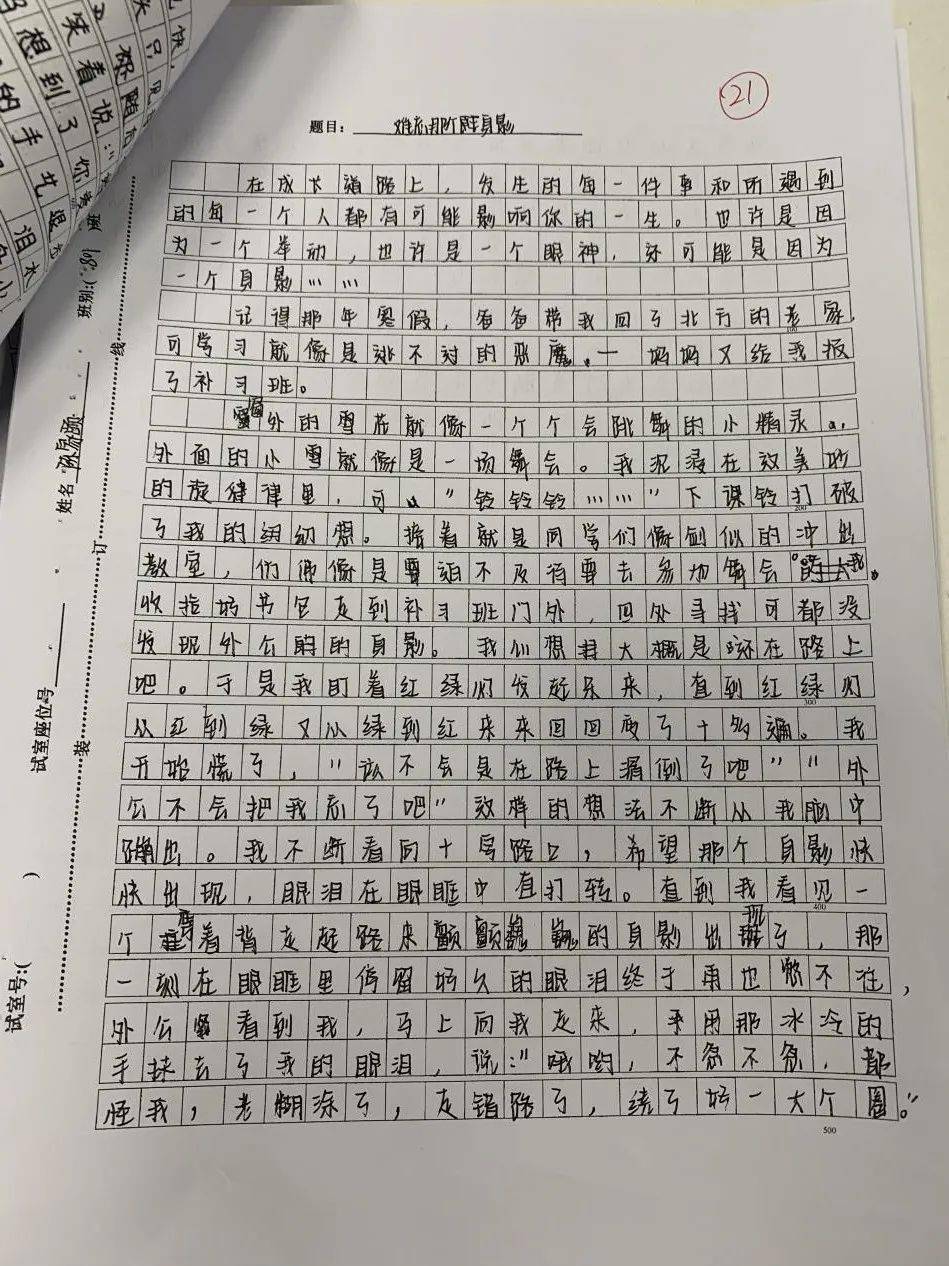 校园足球比赛精彩瞬间与感悟作文