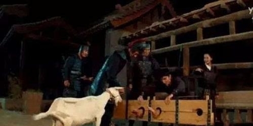 满清十大酷刑电影，探索变化、学习与自信的力量