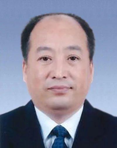 平顶山市政府人事任命引领科技革新，打造智慧城市新篇章
