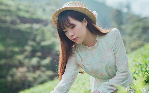 小草最新公众号揭秘，温馨日常分享