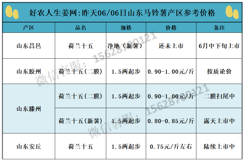 安丘生姜最新价格行情详解及如何获取与分析生姜价格信息指南