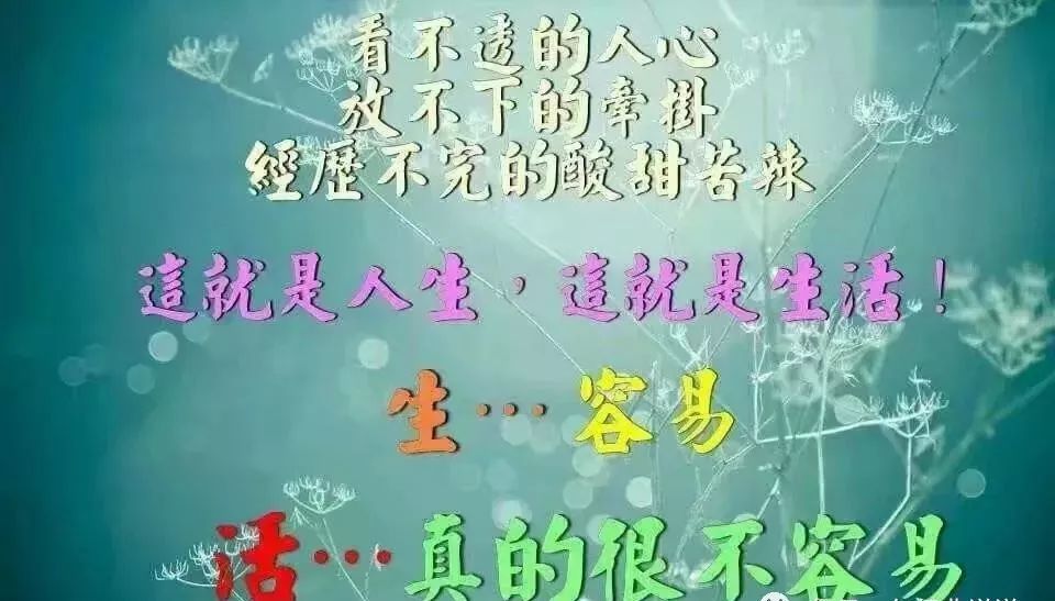 情感共鸣，最新说说触动心灵，生活思考与感悟的体现