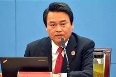 莲花落小刘最新学习指南与步骤详解（2025版）