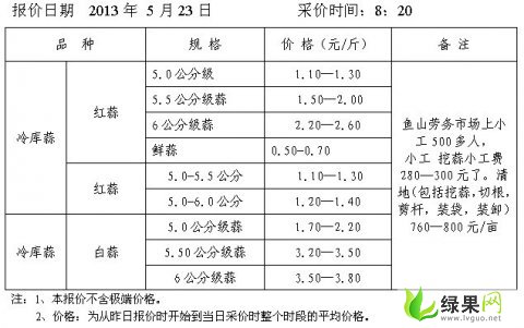金乡蒜苔最新报价，时代味道与市场动态同步更新