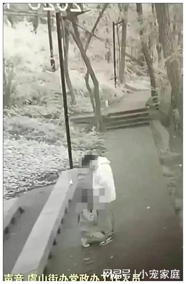 时代背景下的情感观察与反思，最新监拍情侣野战视频揭秘