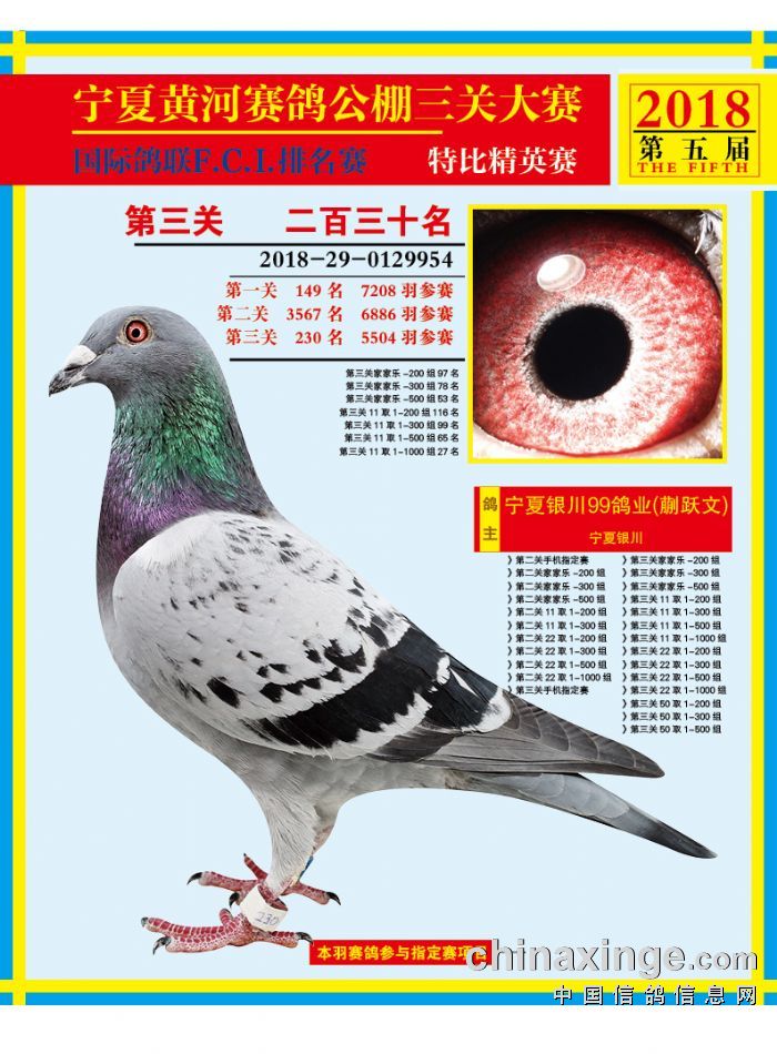 宁夏黄河赛鸽公棚最新公告通知